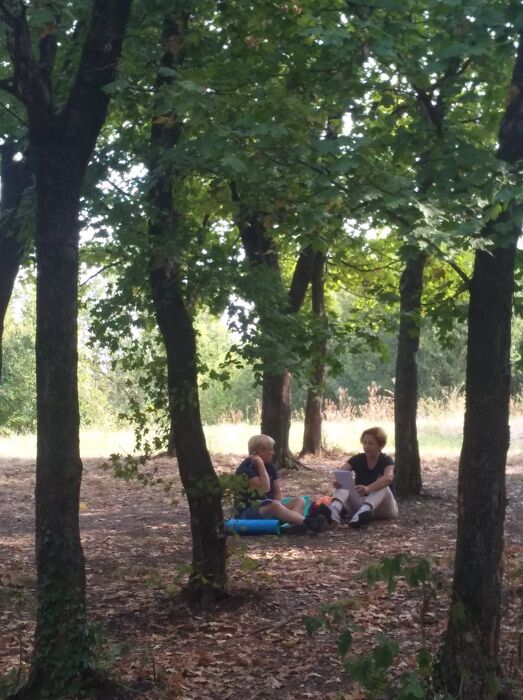 Incontro con psicologa: lezione di ecobenessere in natura Incontro con psicologa: lezione di ecobenessere in natura desktop picture