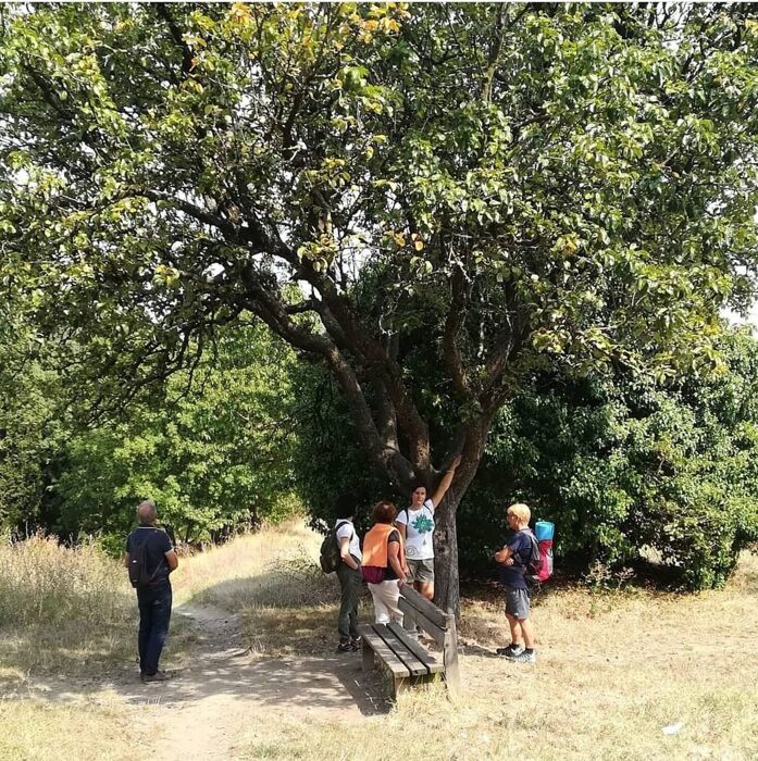 Incontro con psicologa: lezione di ecobenessere in natura Incontro con psicologa: lezione di ecobenessere in natura desktop picture