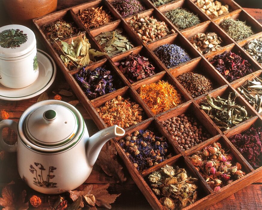 Workshop di erboristeria con degustazione di tisane Workshop di erboristeria con degustazione di tisane desktop picture
