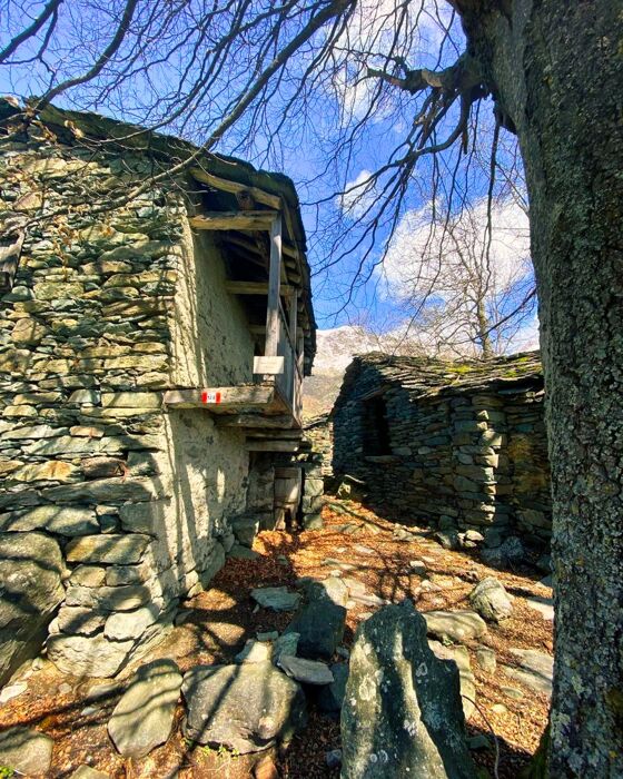 Alla scoperta dell'Alpe d'Ovarda sulle montagne torinesi Alla scoperta dell'Alpe d'Ovarda sulle montagne torinesi desktop picture