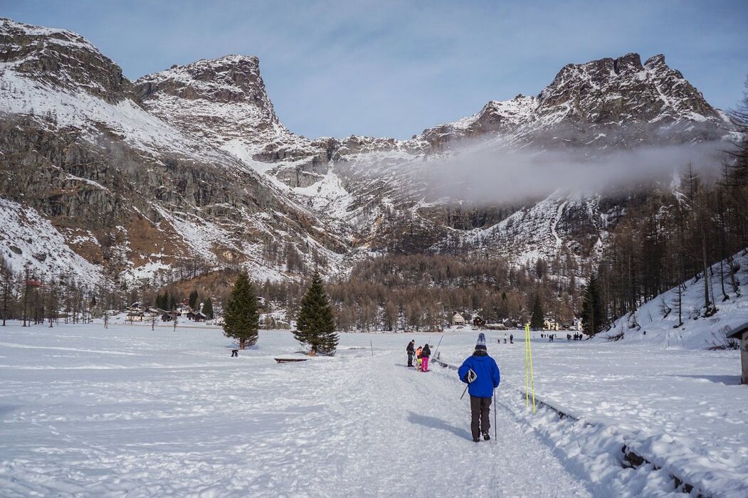 Ciaspolata negli scenari fiabeschi dell'Alpe Devero Ciaspolata negli scenari fiabeschi dell'Alpe Devero desktop picture