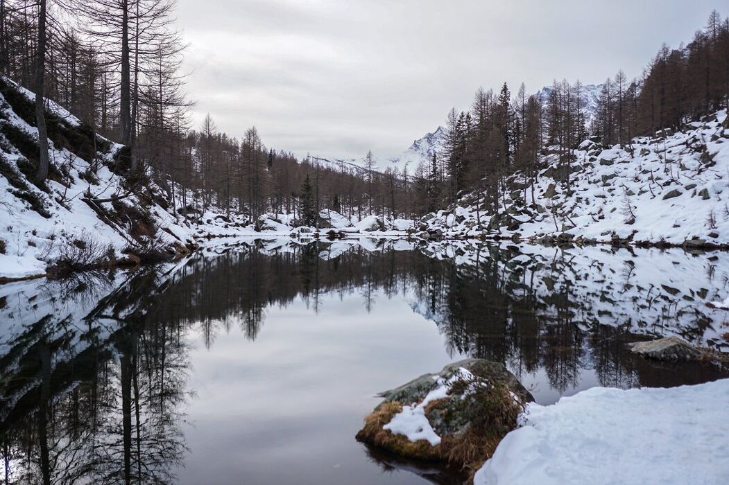Ciaspolata negli scenari fiabeschi dell'Alpe Devero Ciaspolata negli scenari fiabeschi dell'Alpe Devero desktop picture