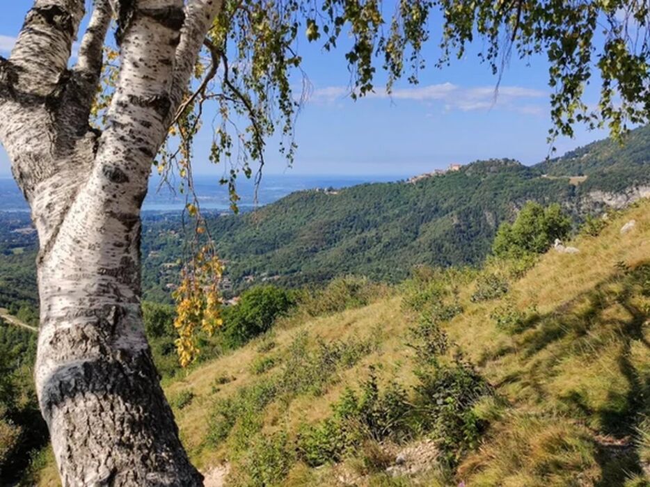 Trekking nelle Prealpi Varesine: Campo dei Fiori e Monte Chiusarella Trekking nelle Prealpi Varesine: Campo dei Fiori e Monte Chiusarella desktop picture