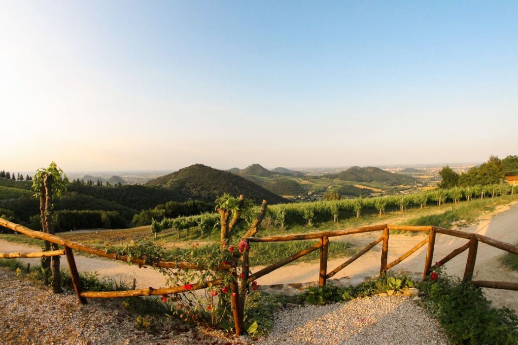 Antichi percorsi sopra Luvigliano: trekking sui Colli Euganei Antichi percorsi sopra Luvigliano: trekking sui Colli Euganei desktop picture