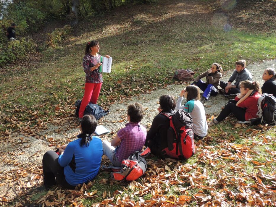 Passeggiata in Valsassina alla scoperta delle piante selvatiche con degustazione di gelato Passeggiata in Valsassina alla scoperta delle piante selvatiche con degustazione di gelato desktop picture
