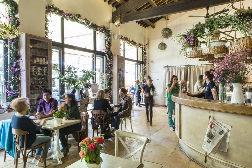 Brunch natalizio nel verde di Villa Pamphili Brunch natalizio nel verde di Villa Pamphili desktop picture