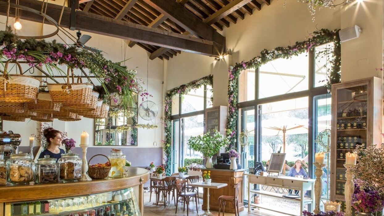 Brunch natalizio nel verde di Villa Pamphili Brunch natalizio nel verde di Villa Pamphili desktop picture