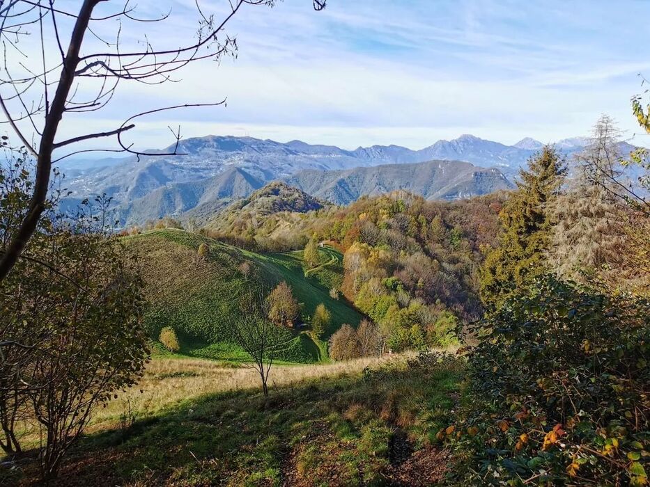 Trekking con Pranzo sul Canto Alto: il balcone naturale di Bergamo Trekking con Pranzo sul Canto Alto: il balcone naturale di Bergamo desktop picture