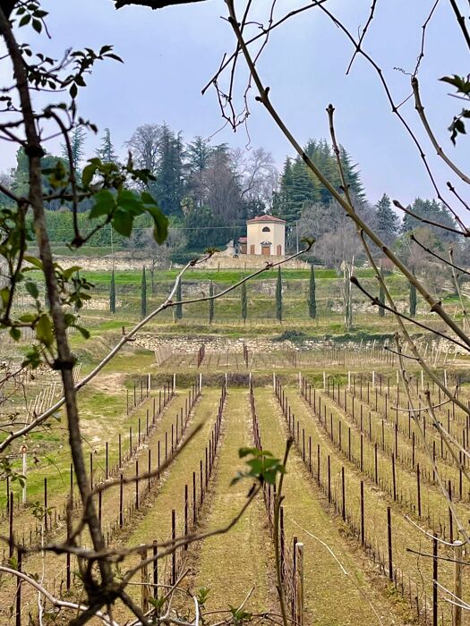 Passeggiata al Monte Gussa con Degustazione in Birreria Artigianale Passeggiata al Monte Gussa con Degustazione in Birreria Artigianale desktop picture
