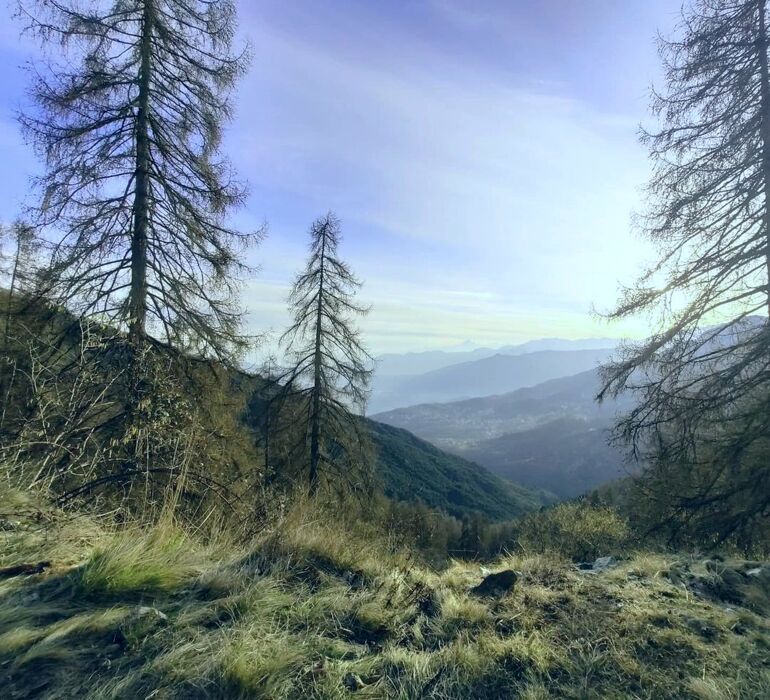 Camminata di primavera al Santuario della Madonna della Bassa Camminata di primavera al Santuario della Madonna della Bassa desktop picture