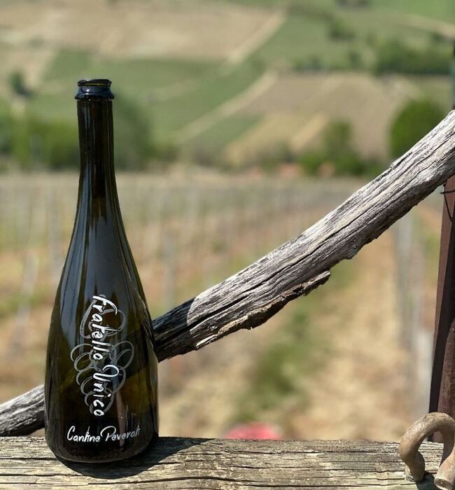 Escursione nell'Alto Monferrato con degustazione di miele e vino Escursione nell'Alto Monferrato con degustazione di miele e vino desktop picture