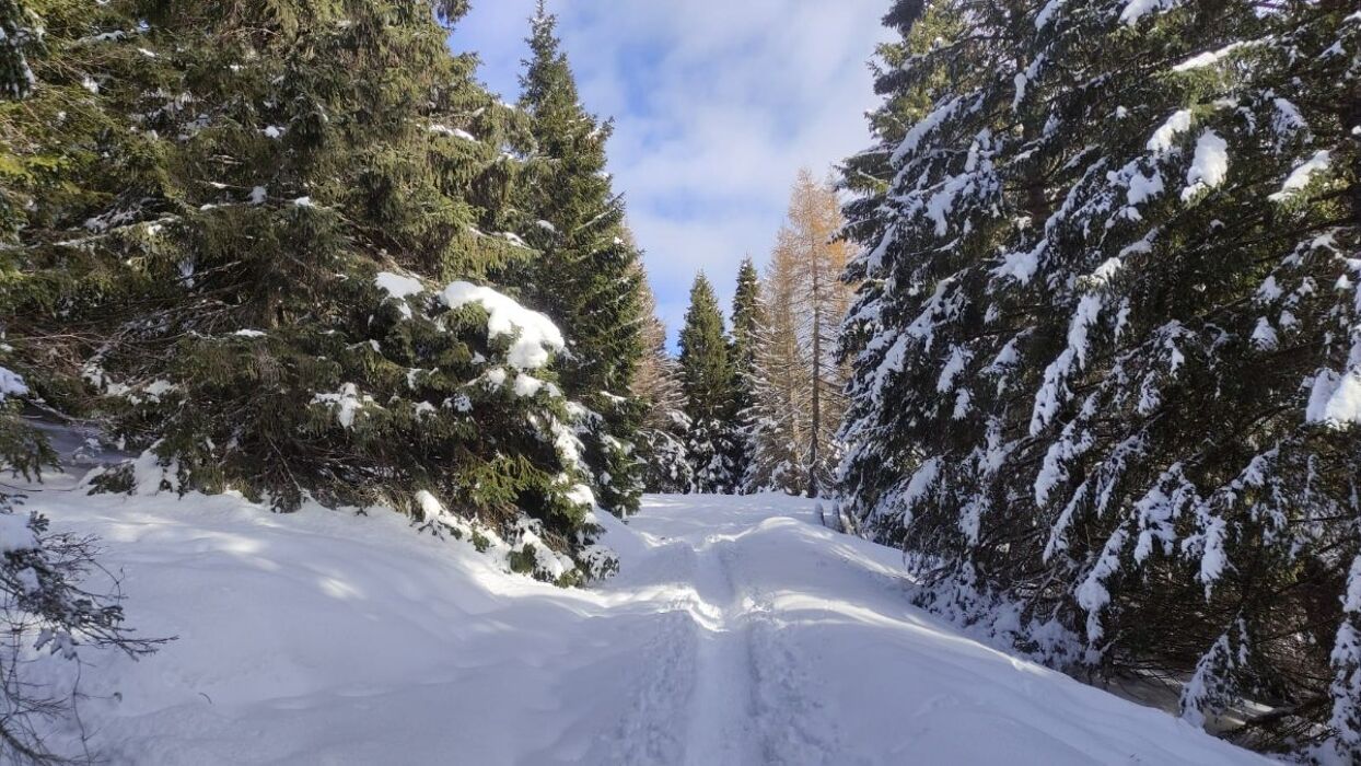 Il Forte Vezzena: trekking tra i panorami più suggestivi del Trentino Il Forte Vezzena: trekking tra i panorami più suggestivi del Trentino desktop picture