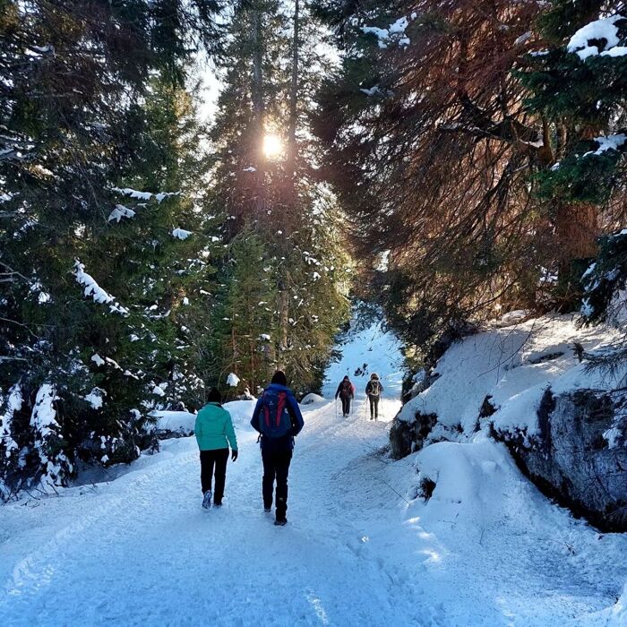 Il Forte Vezzena: trekking tra i panorami più suggestivi del Trentino Il Forte Vezzena: trekking tra i panorami più suggestivi del Trentino desktop picture