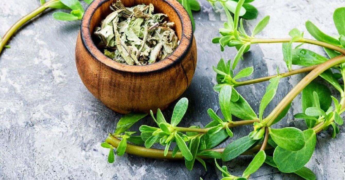 Incontro online di Botanica: conosciamo le piante selvatiche commestibili Incontro online di Botanica: conosciamo le piante selvatiche commestibili desktop picture