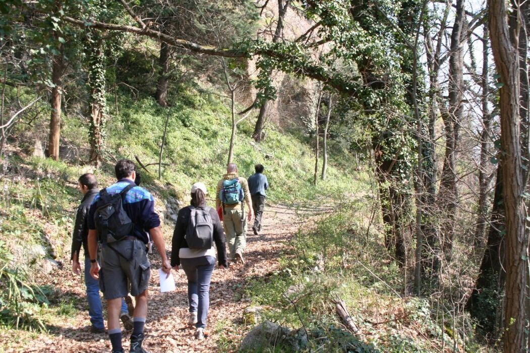 Trekking a Monte Mauro: cuore più selvaggio della Vena del Gesso Trekking a Monte Mauro: cuore più selvaggio della Vena del Gesso desktop picture
