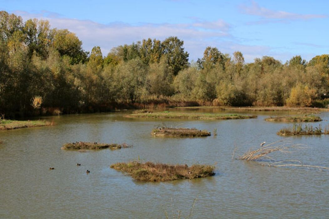 Pedalata all’Oasi La Rizza con grigliata in agriturismo Pedalata all’Oasi La Rizza con grigliata in agriturismo desktop picture