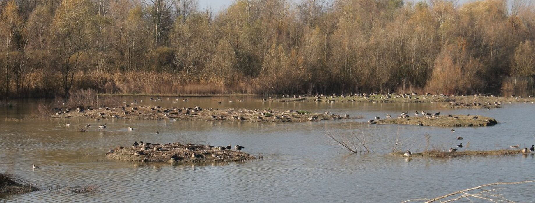 Pedalata all’Oasi La Rizza con grigliata in agriturismo Pedalata all’Oasi La Rizza con grigliata in agriturismo desktop picture