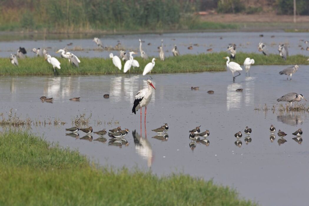 Pedalata all’Oasi La Rizza con grigliata in agriturismo Pedalata all’Oasi La Rizza con grigliata in agriturismo desktop picture
