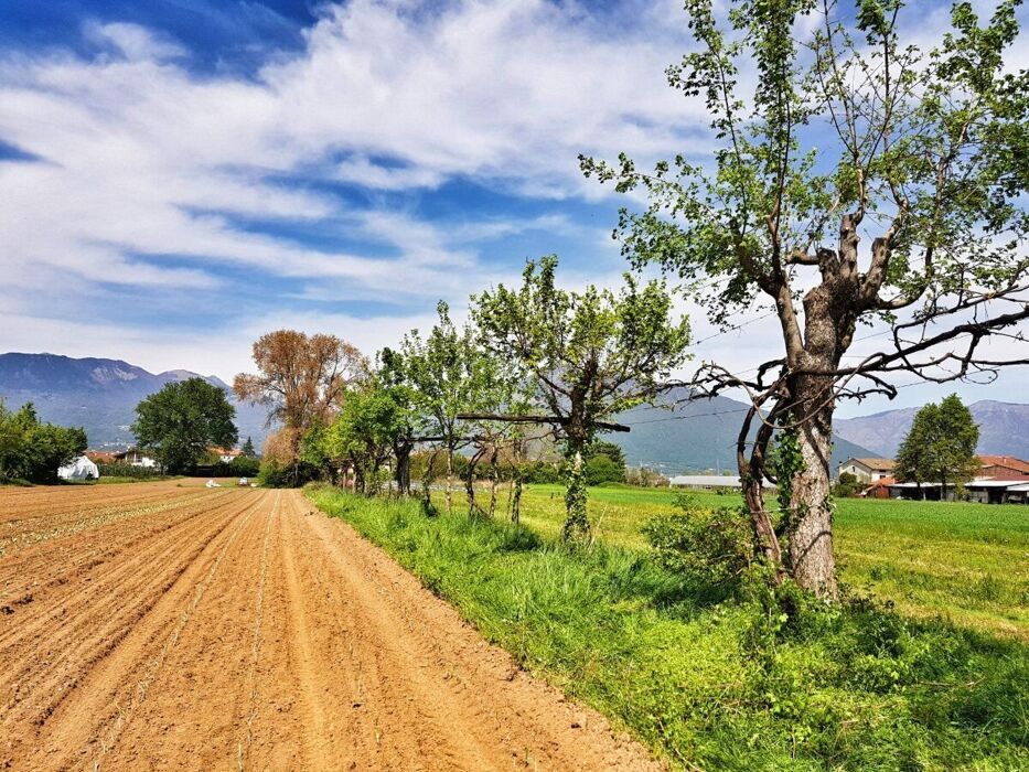 Meeters & Gengle: alla scoperta del mondo delle api Meeters & Gengle: alla scoperta del mondo delle api desktop picture