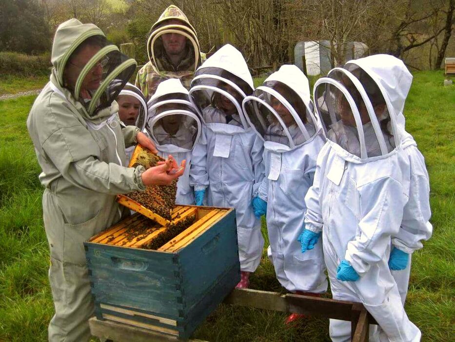 Meeters & Gengle: alla scoperta del mondo delle api Meeters & Gengle: alla scoperta del mondo delle api desktop picture