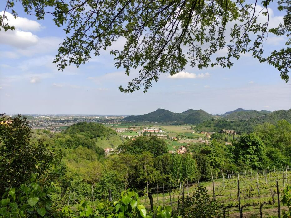 Escursione nel borgo di Torreglia con Degustazione Luxardo Escursione nel borgo di Torreglia con Degustazione Luxardo desktop picture