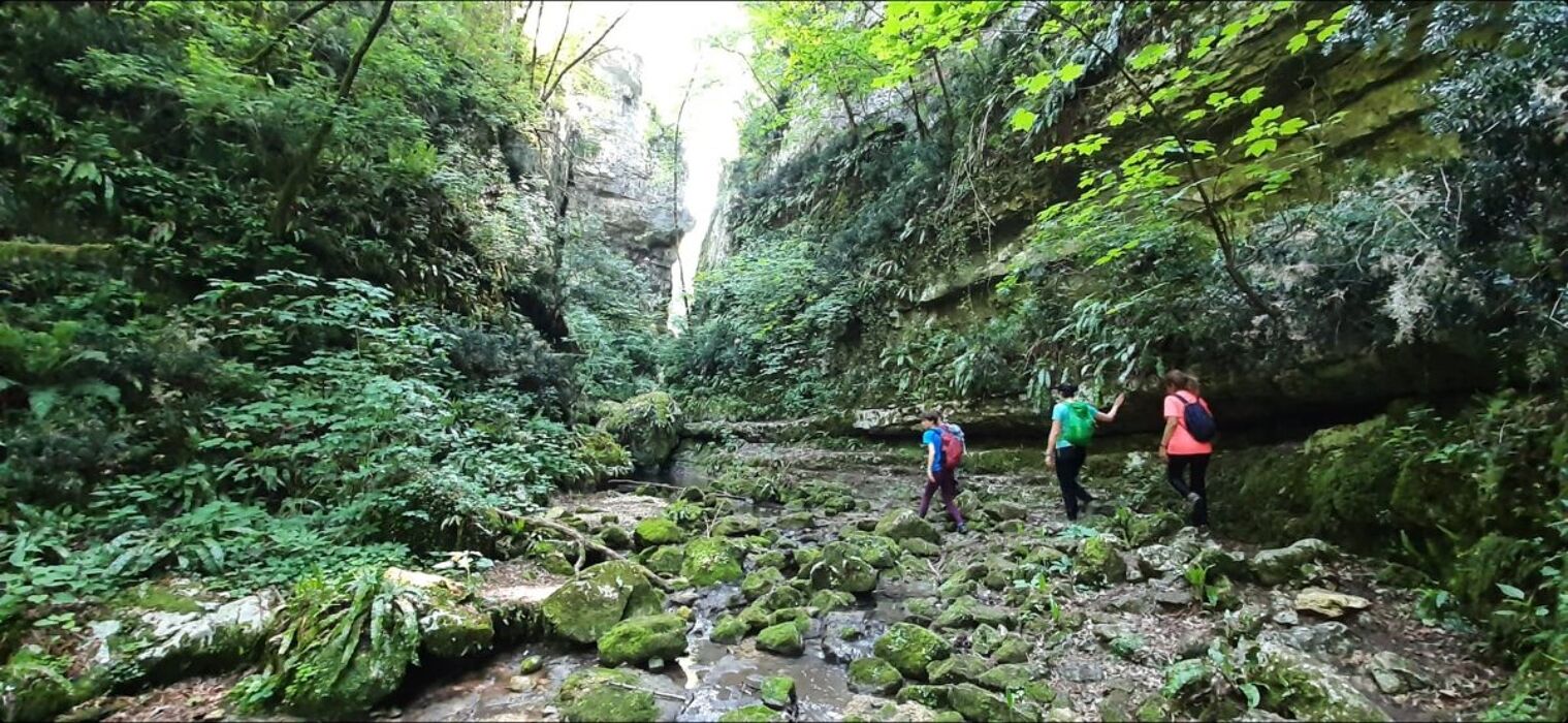 Escursione nella Valsorda in Lessinia: tra ponti e cascate Escursione nella Valsorda in Lessinia: tra ponti e cascate desktop picture