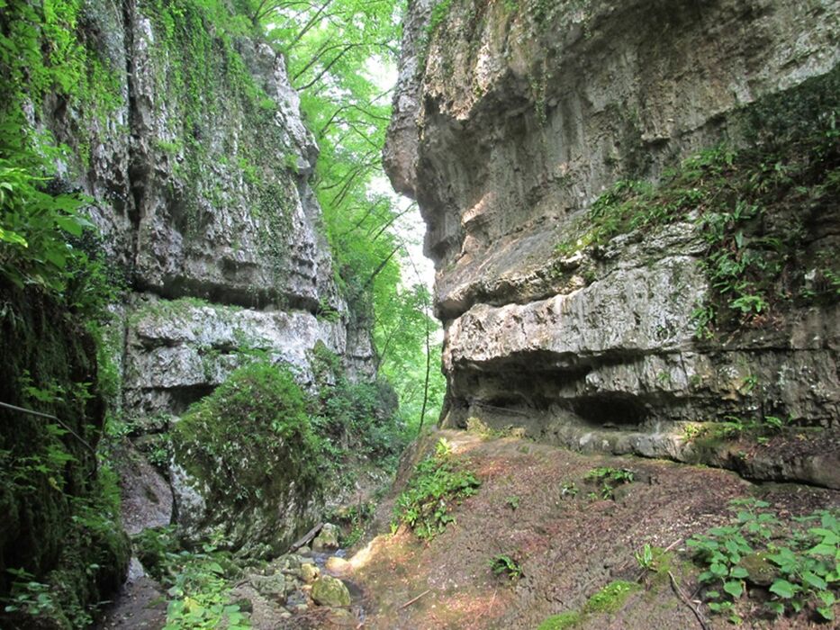 Escursione nella Valsorda in Lessinia: tra ponti e cascate Escursione nella Valsorda in Lessinia: tra ponti e cascate desktop picture