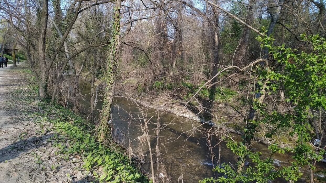 Passeggiata in compagnia sul Lungosavena Passeggiata in compagnia sul Lungosavena desktop picture