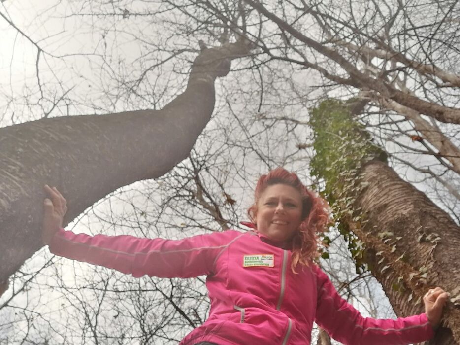 Alla scoperta della storia geologica del Triangolo Lariano Alla scoperta della storia geologica del Triangolo Lariano desktop picture