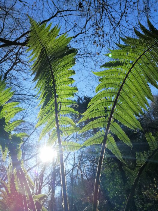 Alla scoperta della storia geologica del Triangolo Lariano Alla scoperta della storia geologica del Triangolo Lariano desktop picture