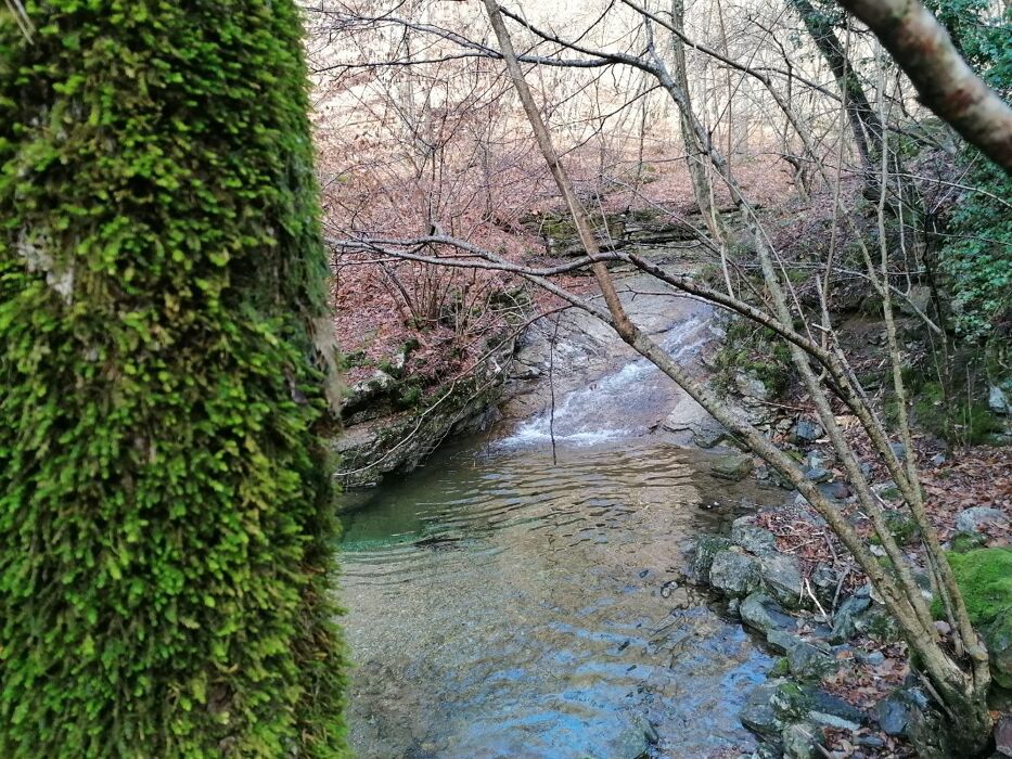 Alla scoperta della storia geologica del Triangolo Lariano Alla scoperta della storia geologica del Triangolo Lariano desktop picture