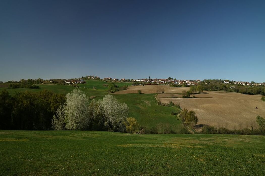 Anello di Coniolo: Escursione tra le anse del Po Anello di Coniolo: Escursione tra le anse del Po desktop picture