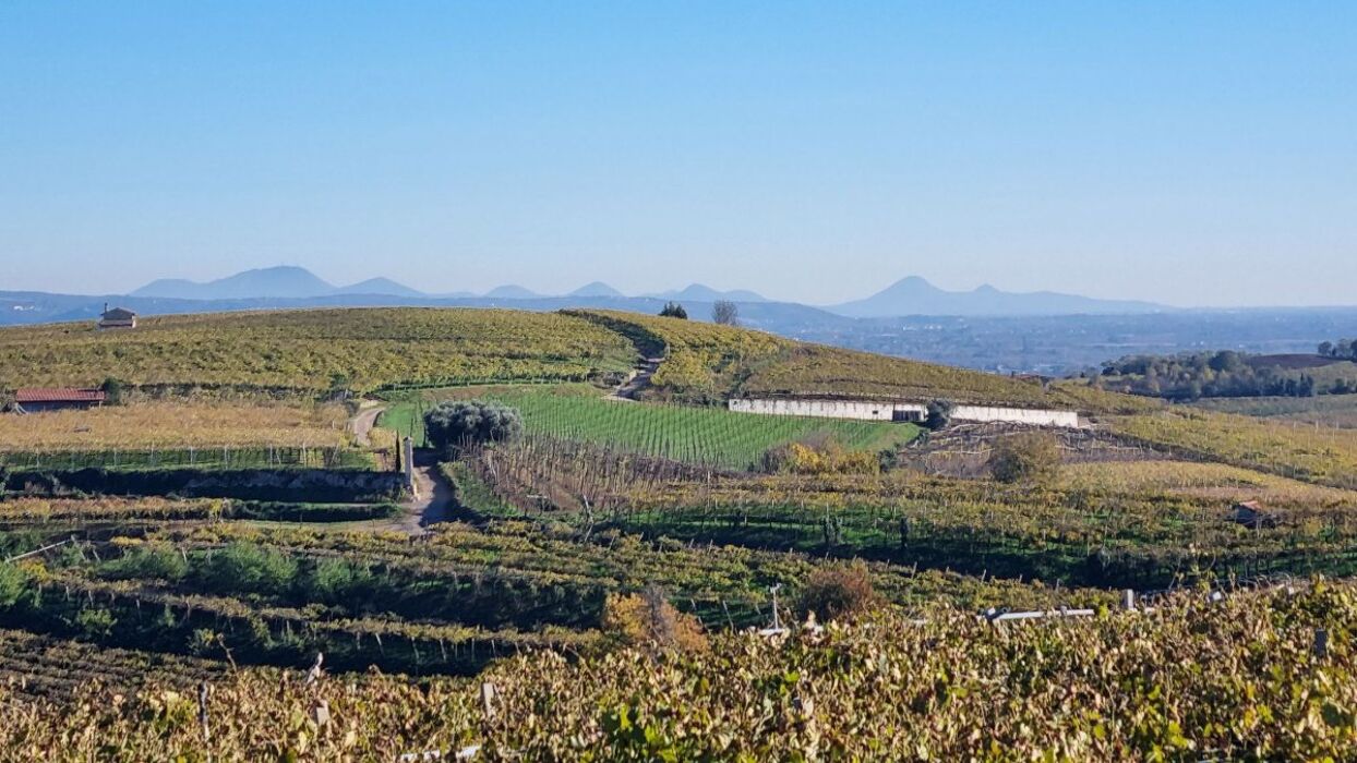 Escursione e Degustazione nel Soave: il Percorso dei 10 Capitelli Escursione e Degustazione nel Soave: il Percorso dei 10 Capitelli desktop picture