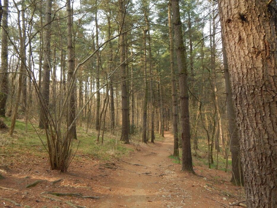 Escursione al Torrente Lura: Natura, Amicizia e Relax Escursione al Torrente Lura: Natura, Amicizia e Relax desktop picture