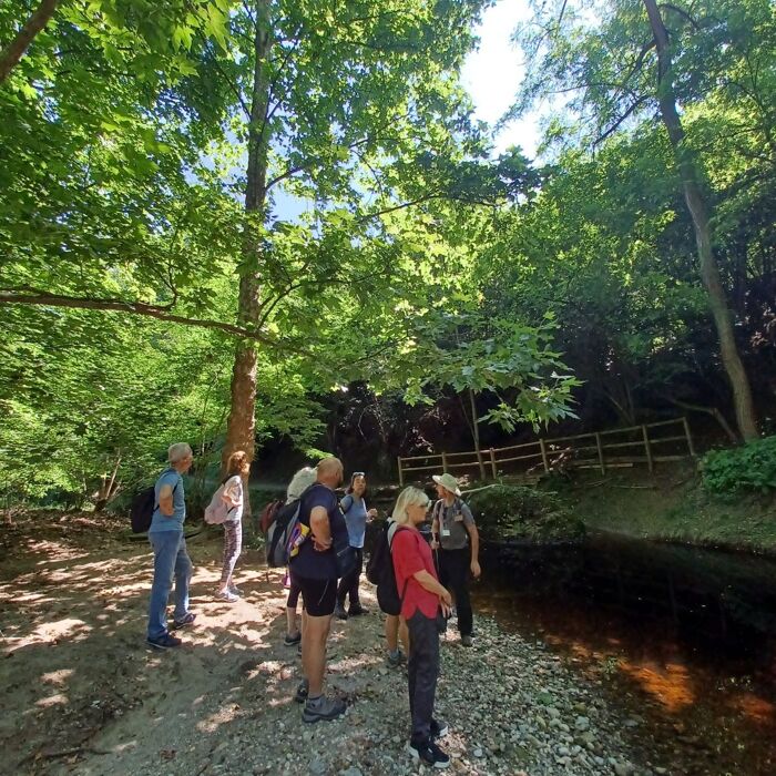 Escursione al Torrente Lura: Natura, Amicizia e Relax Escursione al Torrente Lura: Natura, Amicizia e Relax desktop picture