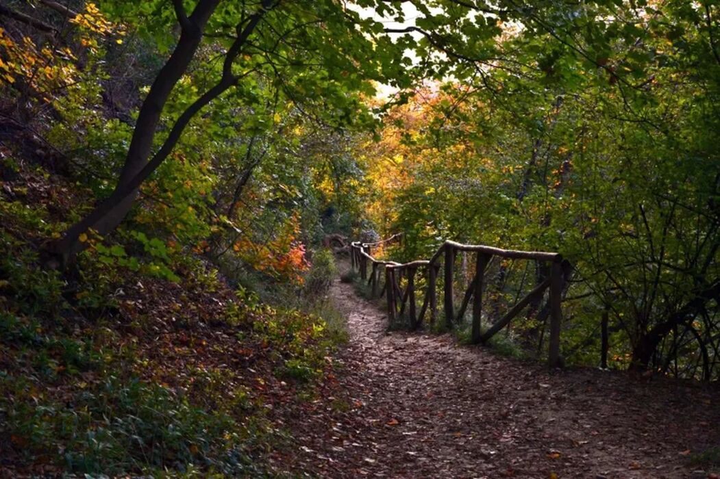 Passeggiata in compagnia al Parco della Chiusa Passeggiata in compagnia al Parco della Chiusa desktop picture