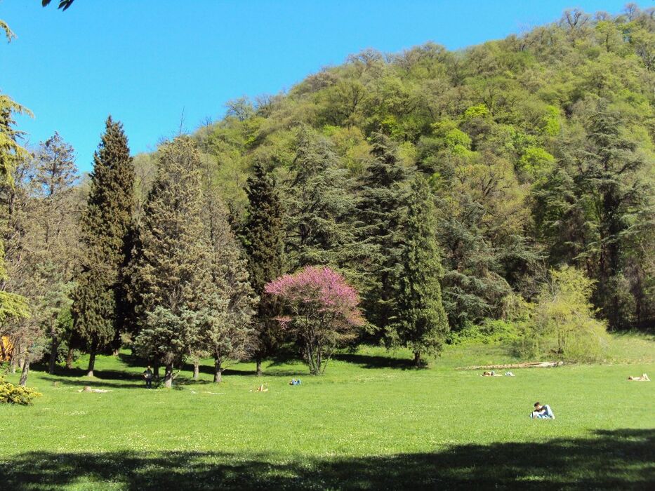 Passeggiata in compagnia al Parco della Chiusa Passeggiata in compagnia al Parco della Chiusa desktop picture