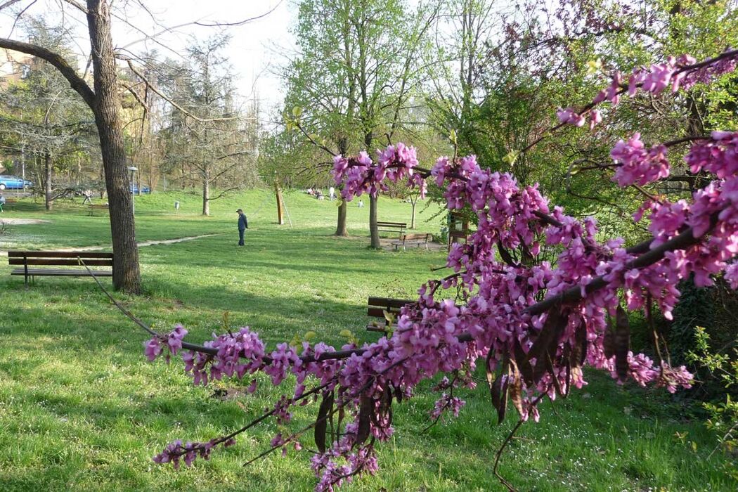 Passeggiata in compagnia al Parco della Chiusa Passeggiata in compagnia al Parco della Chiusa desktop picture