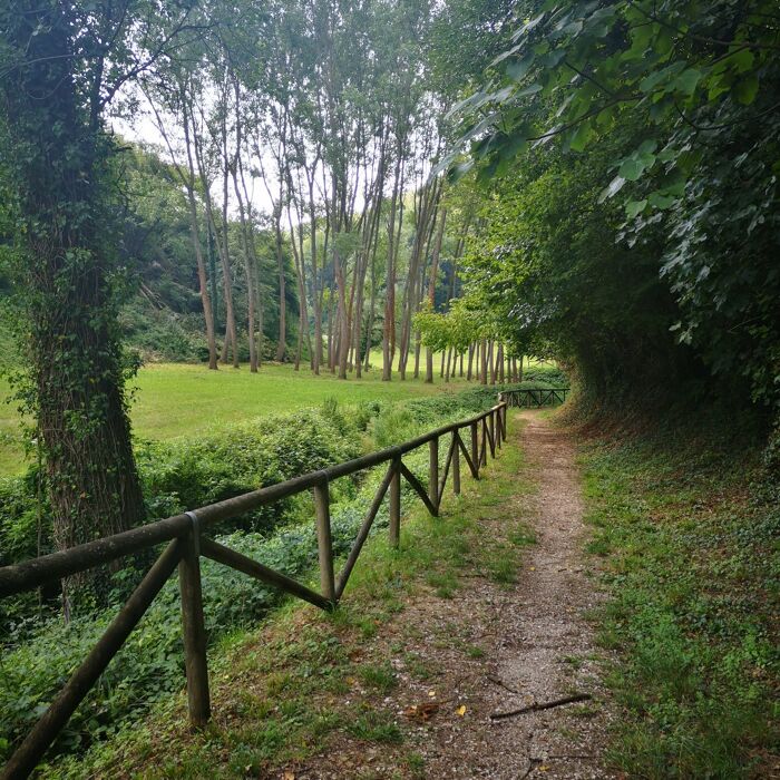 Escursione nella Valle di Calto tra covoli e vecchi mulini Escursione nella Valle di Calto tra covoli e vecchi mulini desktop picture