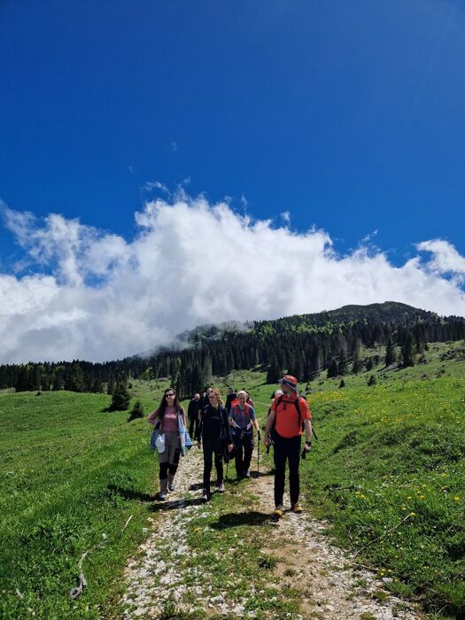 Escursione ad anello a Folgaria: in cima al Monte Maggio Escursione ad anello a Folgaria: in cima al Monte Maggio desktop picture