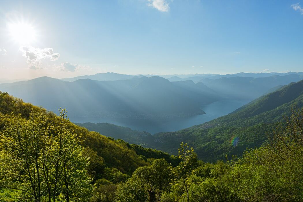 Trekking nel Triangolo Lariano: sentiero dei faggi e degustazione Trekking nel Triangolo Lariano: sentiero dei faggi e degustazione desktop picture