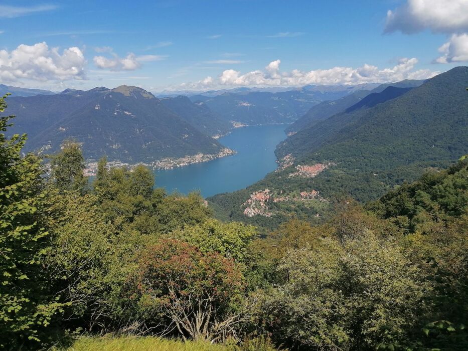 Trekking nel Triangolo Lariano: sentiero dei faggi e degustazione Trekking nel Triangolo Lariano: sentiero dei faggi e degustazione desktop picture