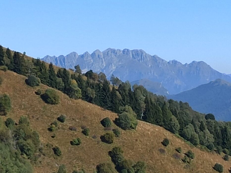 Trekking nel Triangolo Lariano: sentiero dei faggi e degustazione Trekking nel Triangolo Lariano: sentiero dei faggi e degustazione desktop picture