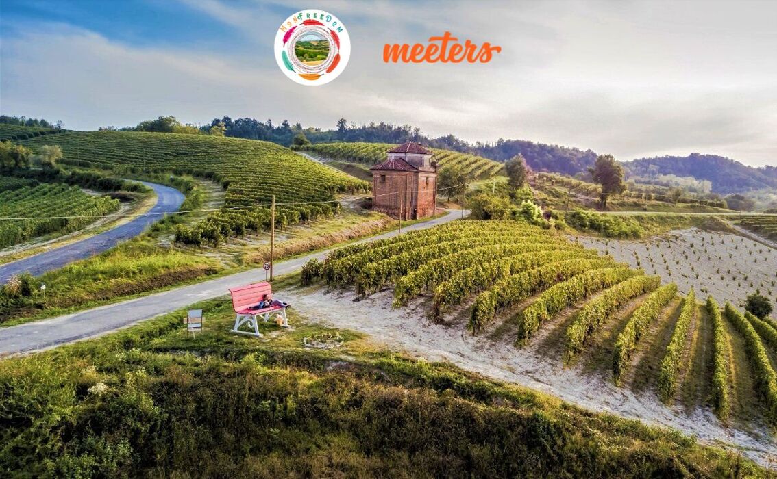 Speciale Monfreedom e Meeters ad Alice Bel Colle: natura e vino in Monferrato Speciale Monfreedom e Meeters ad Alice Bel Colle: natura e vino in Monferrato desktop picture