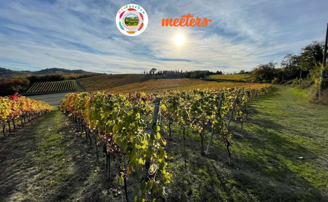 Speciale Monfreedom e Meeters a Ozzano: natura e vino in Monferrato Speciale Monfreedom e Meeters a Ozzano: natura e vino in Monferrato desktop picture