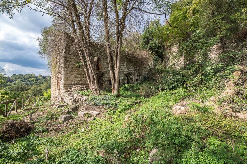 Escursione al Monastero di Astino attraverso il bosco dell'Allegrezza Escursione al Monastero di Astino attraverso il bosco dell'Allegrezza desktop picture