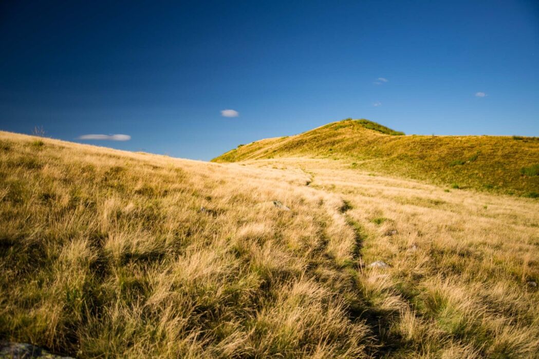 Escursione nel Varesotto tra camosci, aquile e panorami mozzafiato Escursione nel Varesotto tra camosci, aquile e panorami mozzafiato desktop picture