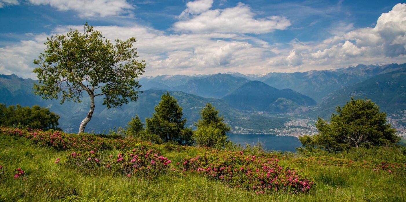 Escursione nel Varesotto tra camosci, aquile e panorami mozzafiato Escursione nel Varesotto tra camosci, aquile e panorami mozzafiato desktop picture