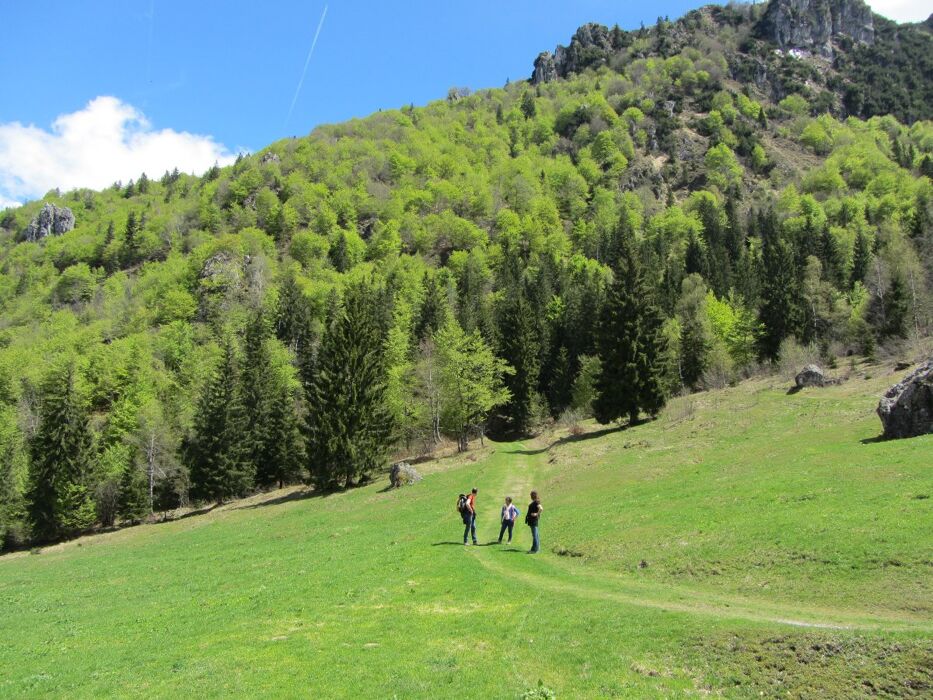 Trekking da Serina al Colle di Zambla: pinete e panorami mozzafiato Trekking da Serina al Colle di Zambla: pinete e panorami mozzafiato desktop picture