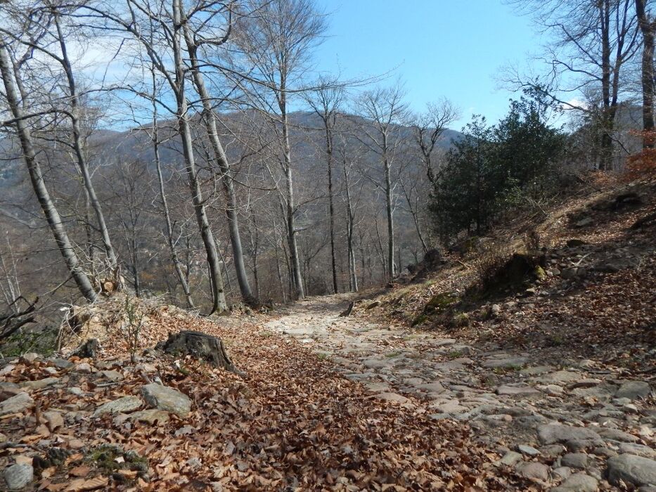 Percorso ad anello in Valganna tra laghetti, ruscelli e panorami Percorso ad anello in Valganna tra laghetti, ruscelli e panorami desktop picture